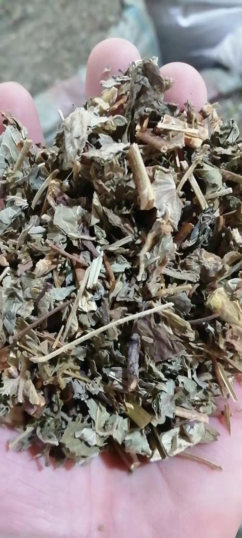 仙鹤草无硫干货无土吸尘干净实图拍摄