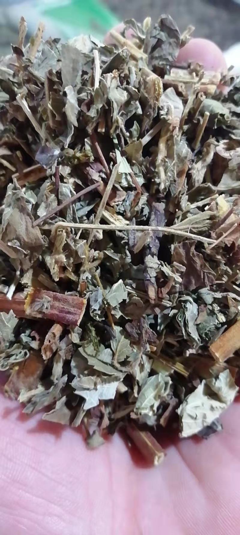 仙鹤草无硫干货无土吸尘干净实图拍摄