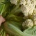 【松花菜】湖北精品松花菜产地直供一手货源欢迎采购