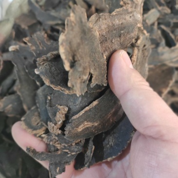 玄参干片元参中药材欢迎选购！量大从优！