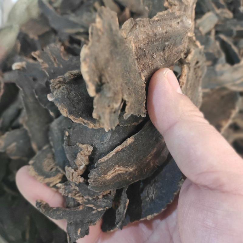 玄参干片元参中药材欢迎选购！量大从优！