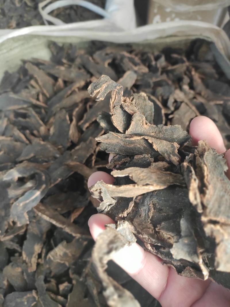 玄参干片元参中药材欢迎选购！量大从优！