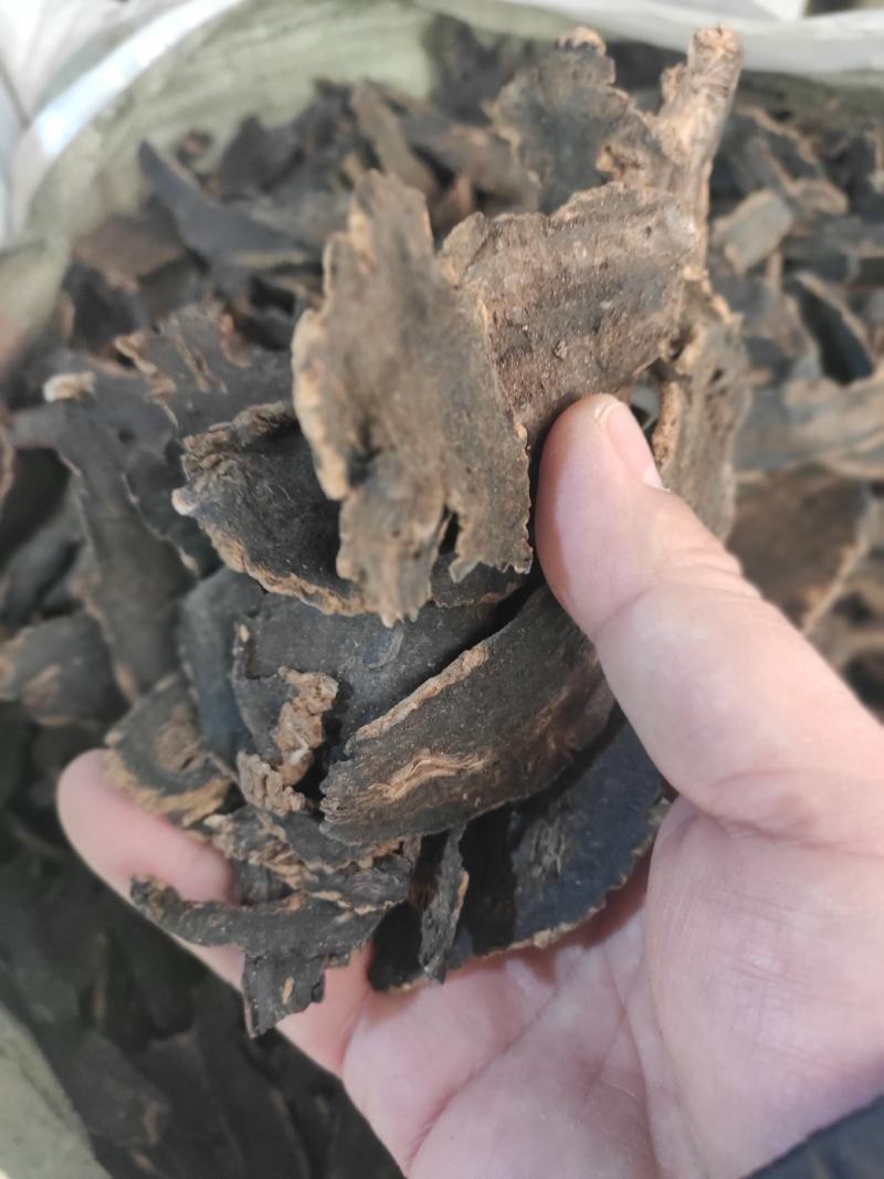 玄参干片元参中药材欢迎选购！量大从优！