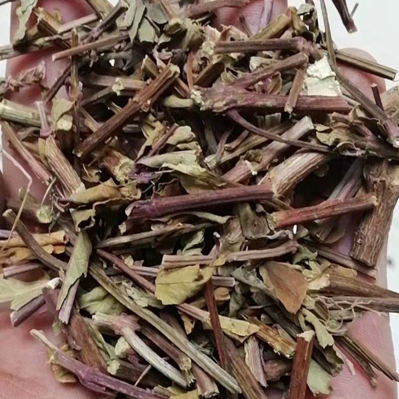 猫须草猫须草初级农产品一公斤起批发