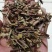 猫须草猫须草初级农产品一公斤起批发