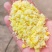 优质熟玉米猪牛羊饲料厂家直发质优价廉可视频看货