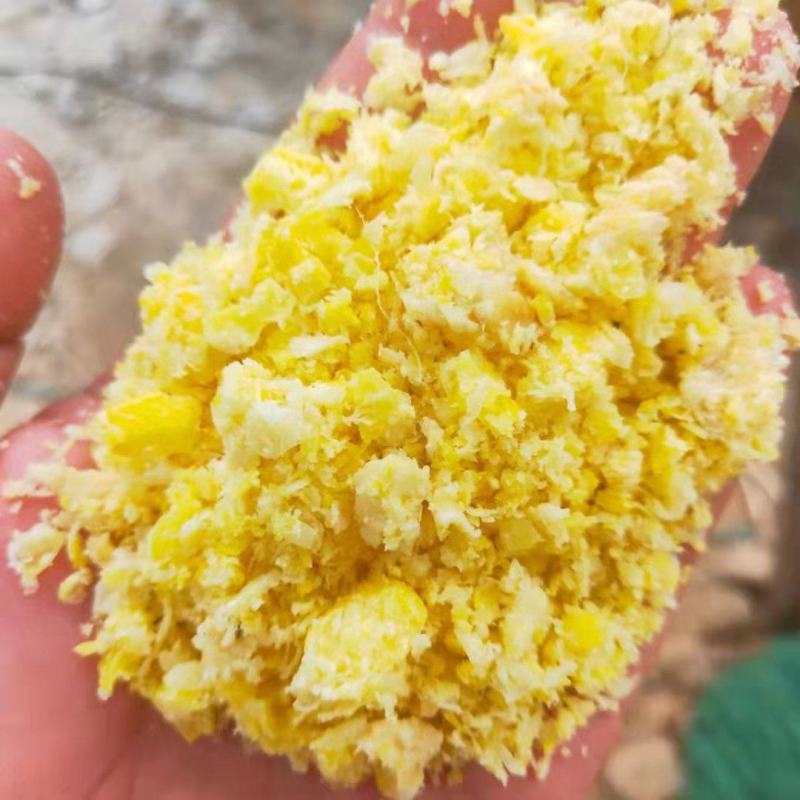 优质熟玉米猪牛羊饲料厂家直发质优价廉可视频看货