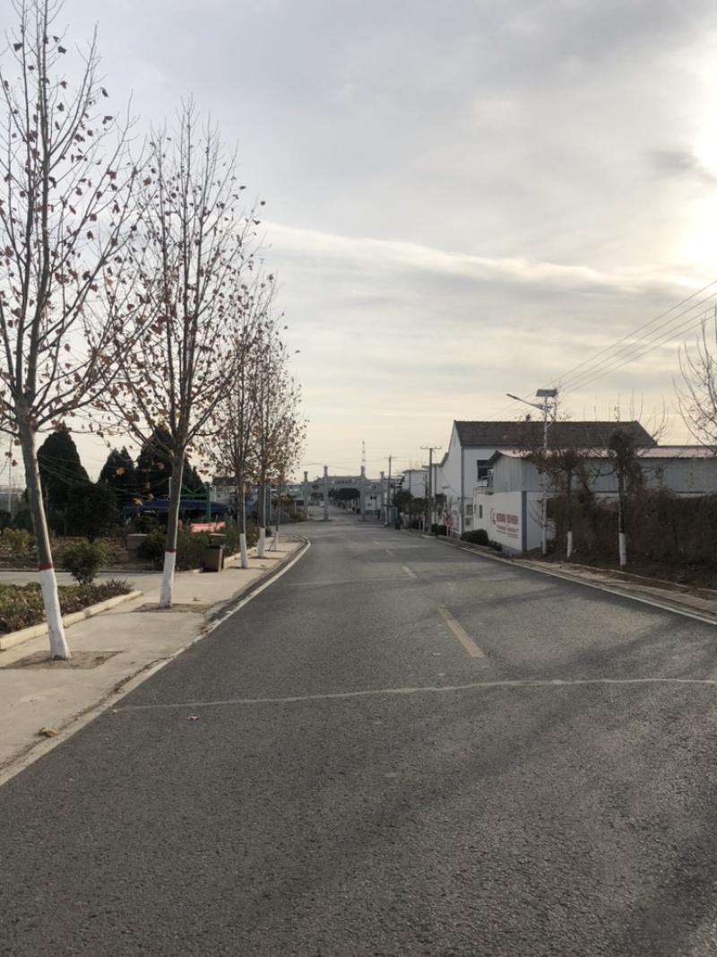 30亩果园出租及8亩紧邻水库空地出租
