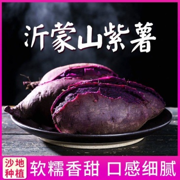 山东红薯紫薯紫罗兰量大从优基地直供对接全国市场