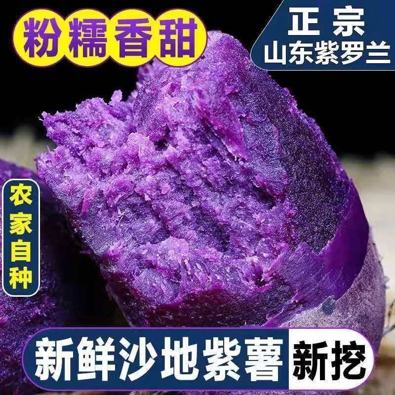 山东红薯紫薯紫罗兰量大从优基地直供对接全国市场