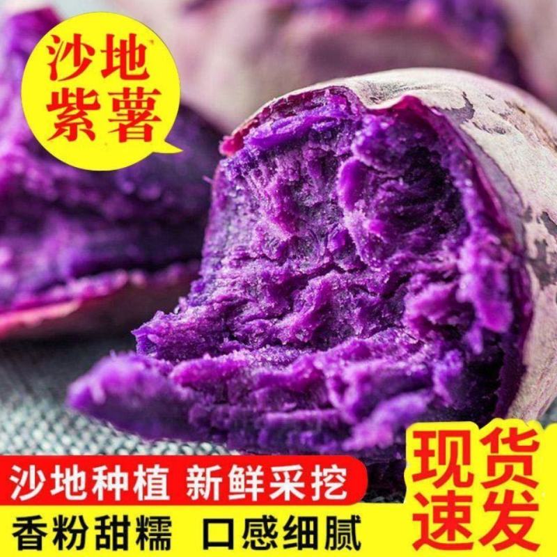 山东红薯紫薯紫罗兰量大从优基地直供对接全国市场