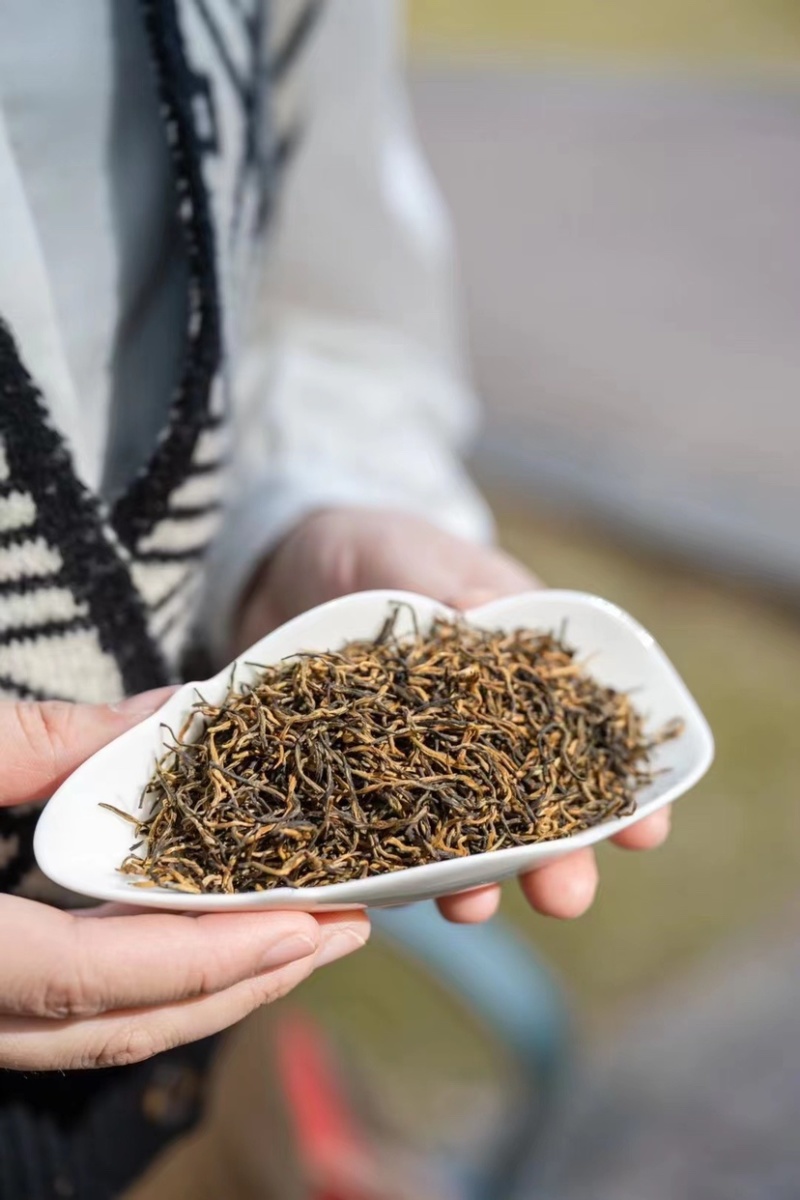 金骏眉红茶金俊眉浓香型高档礼盒装251克
