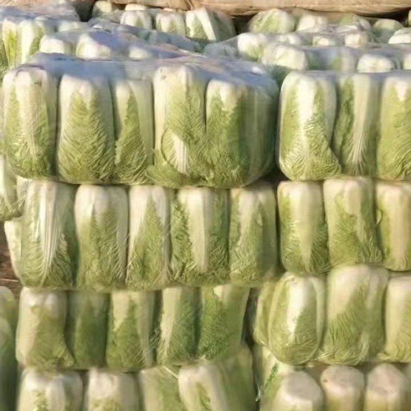 保证质量需要的联系我