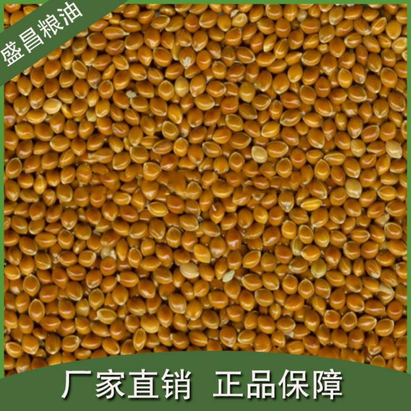棕色亚麻籽大小均匀可榨油、精选无杂质大量现货批发。