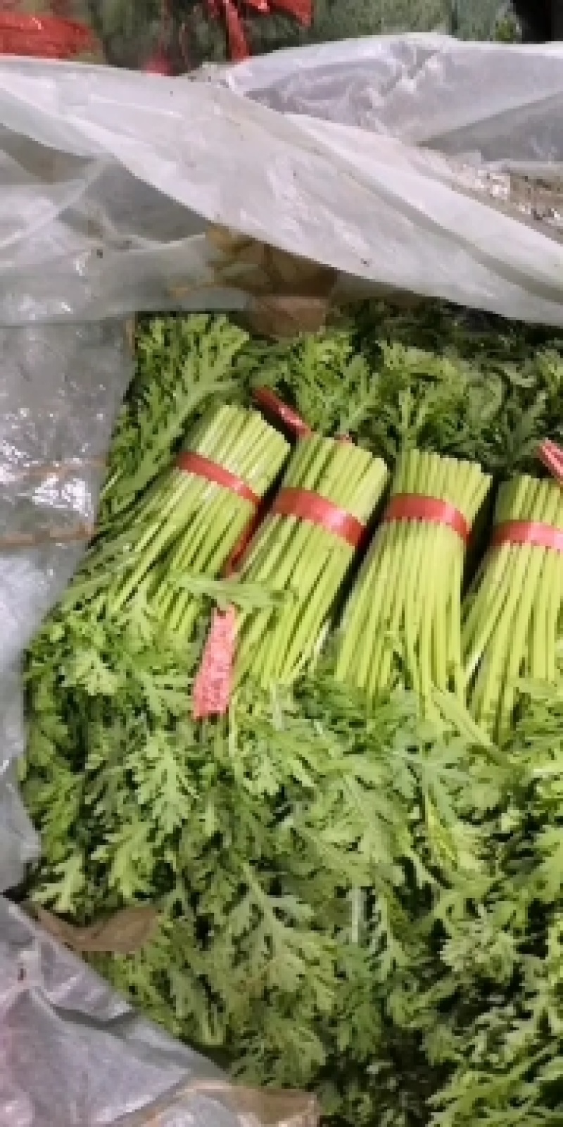 山东维坊精品筒篙，规格齐全产地直销量大从优欢迎联系