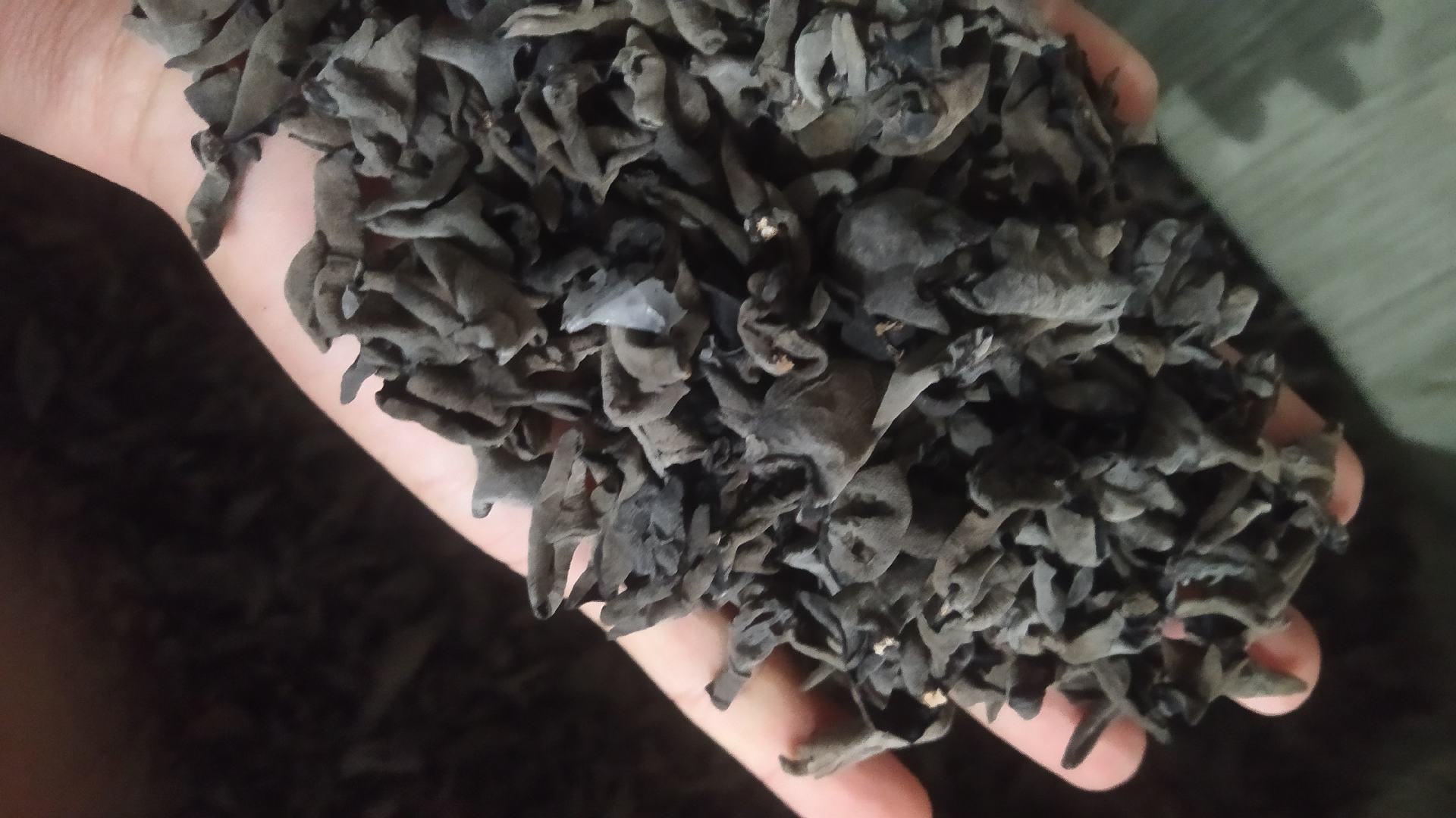 2024年黑木耳与毛木耳市场价格对比趋势图 黑木耳与毛木耳市场价格走势图