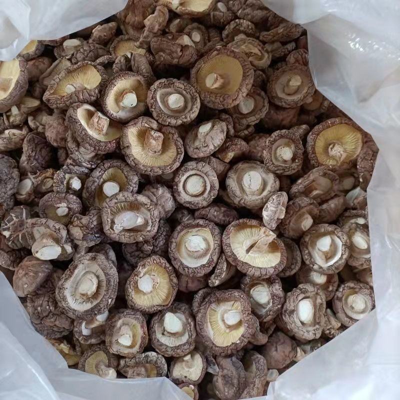 香菇精品干香菇，产地直发量大从优对接全国长期合作。