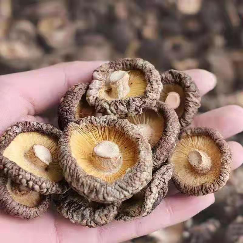 香菇精品干香菇，产地直发量大从优对接全国长期合作。
