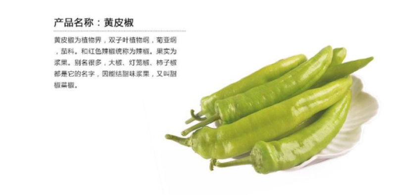 黄皮辣椒量大产地直供价格优惠专业代采欢迎咨询