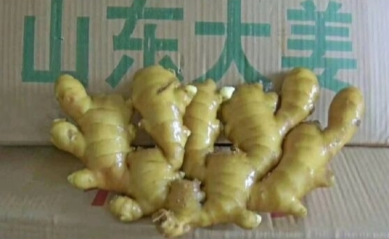 昌邑生姜批发【供电商/市场/商超等】坏烂包赔代发代存