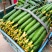 山东莘县黄瓜【食堂超市市场加工厂】每天30万斤量大