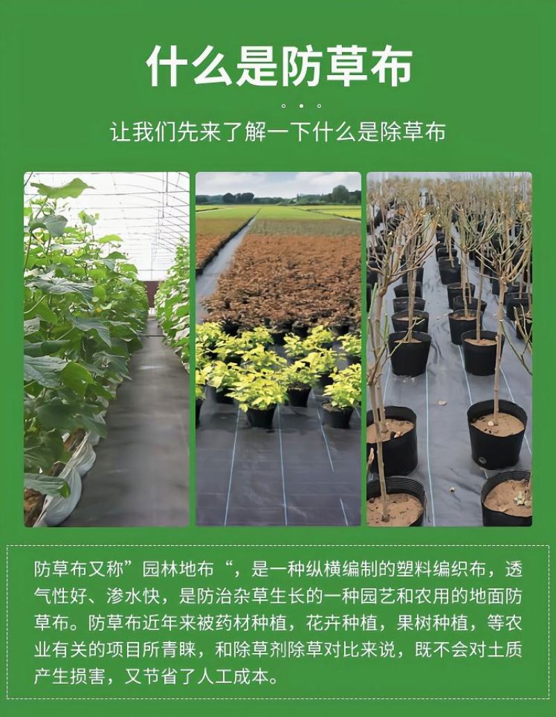 【推荐】防草布除草布多功能园艺地布透水透气抑草