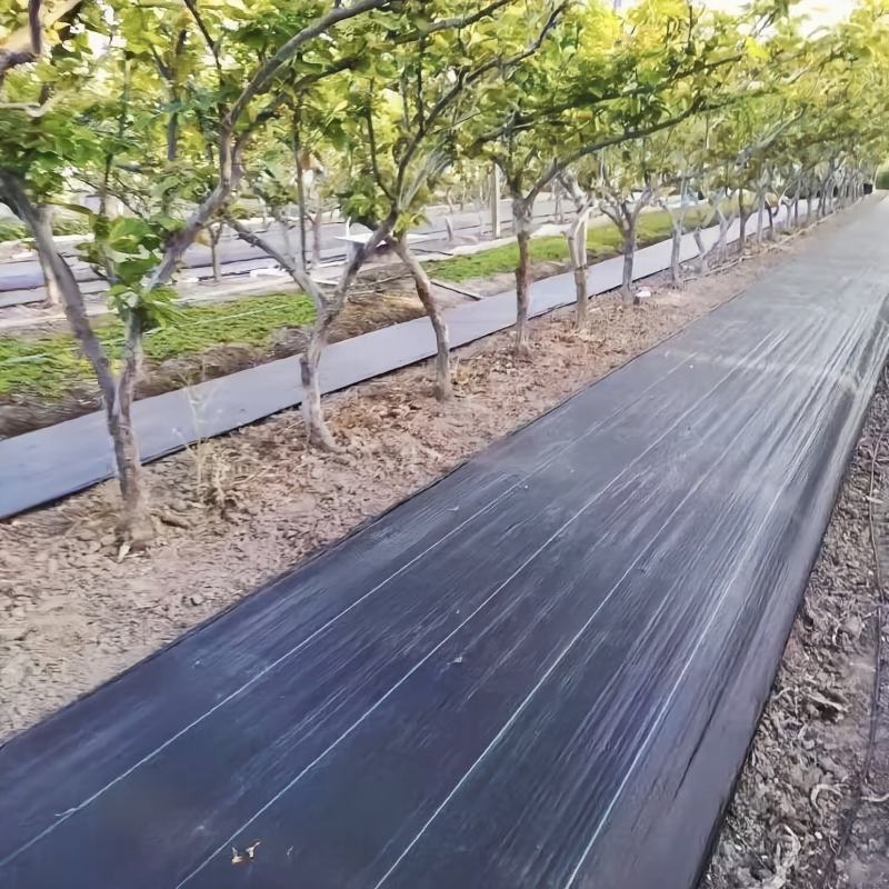 【推荐】防草布除草布多功能园艺地布透水透气抑草