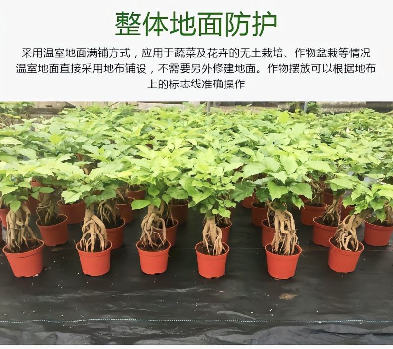 【推荐】防草布除草布多功能园艺地布透水透气抑草