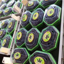 【精品】广东桑葚，现摘桑果基地直发，量大质优保证新鲜