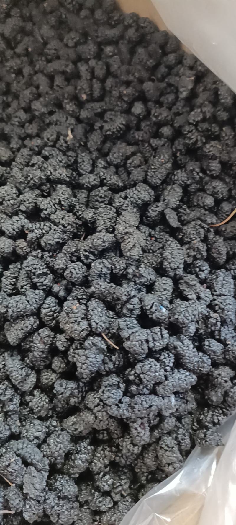 桑椹干，桑椹子大量批发零售，无碎粒免洗，产地发货