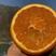 四川血橙精品血橙果园现摘现发品质保证一手货源