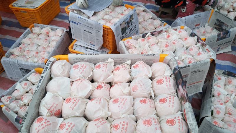 耙耙柑大量有货，基地直销一手货源量大从优，果园直销