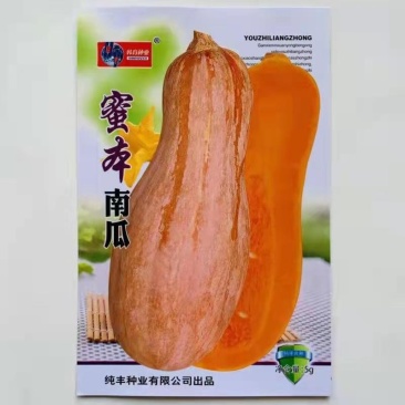 蜜本南瓜种子，蜜本南瓜种子，南瓜种子，南瓜种子