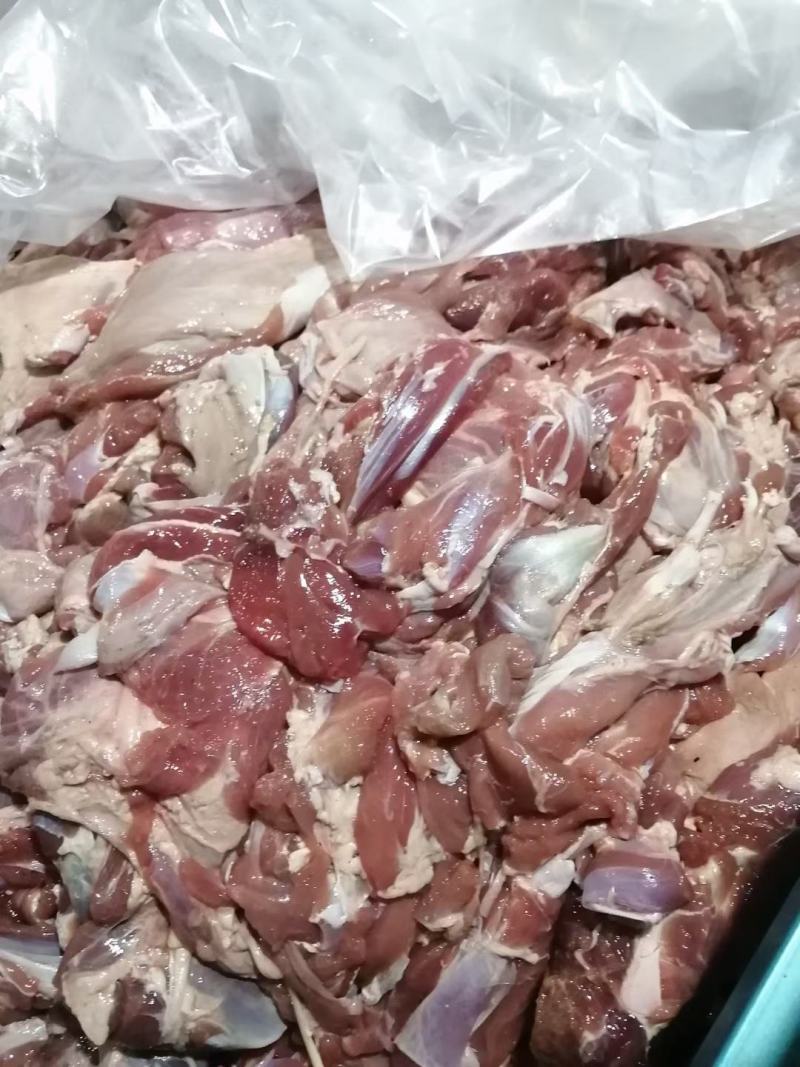 羊腿肉9一斤不调理，可发样品一件起发可定制全