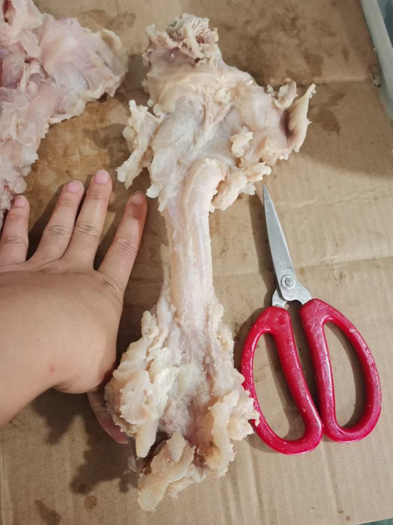 熟牛蹄副筋，蹄筋中含有丰富的蛋白聚糖和胶原蛋白