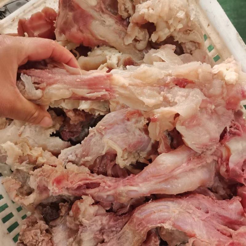 熟牛蹄副筋，蹄筋中含有丰富的蛋白聚糖和胶原蛋白