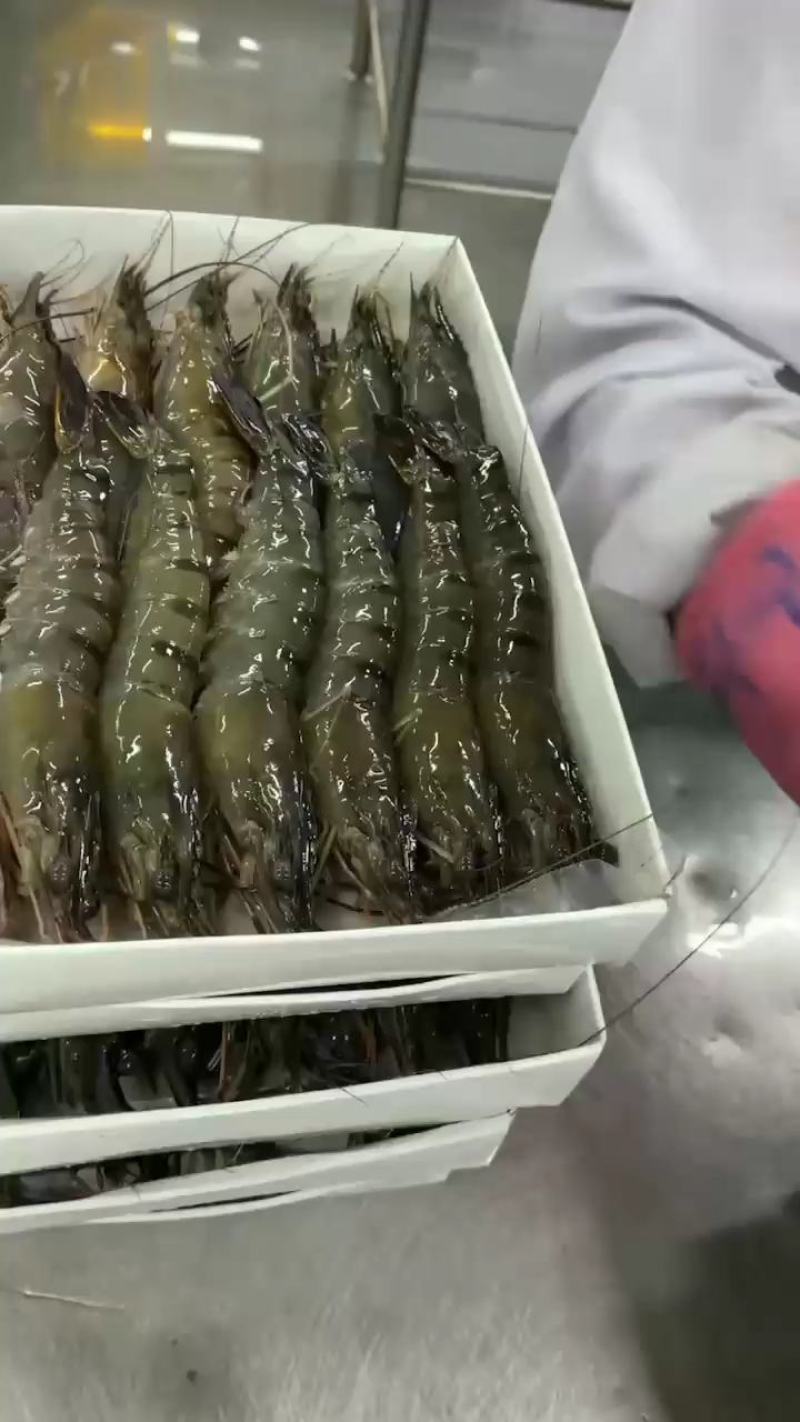 特大黑虎虾深海海洋大对虾黑虎虾个大肉肥礼盒