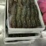 特大黑虎虾深海海洋大对虾黑虎虾个大肉肥礼盒