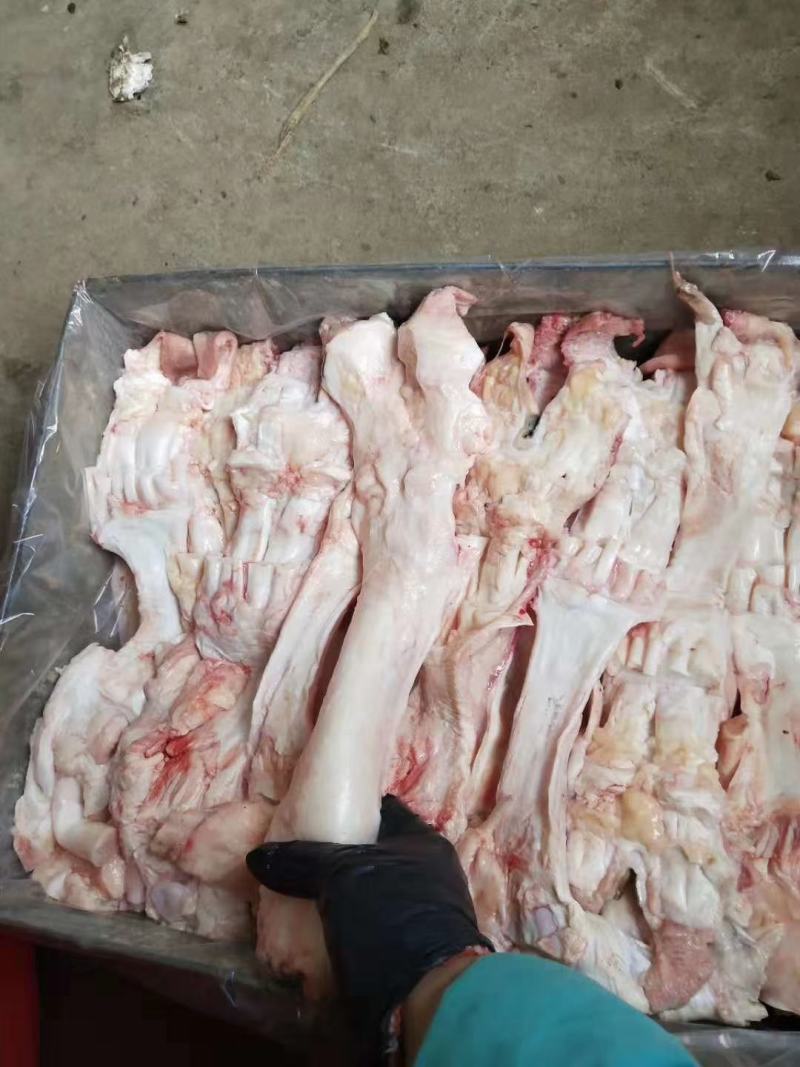 牛蹄主筋，国产纯干货，蹄筋中含有丰富的蛋白聚糖和胶原蛋白