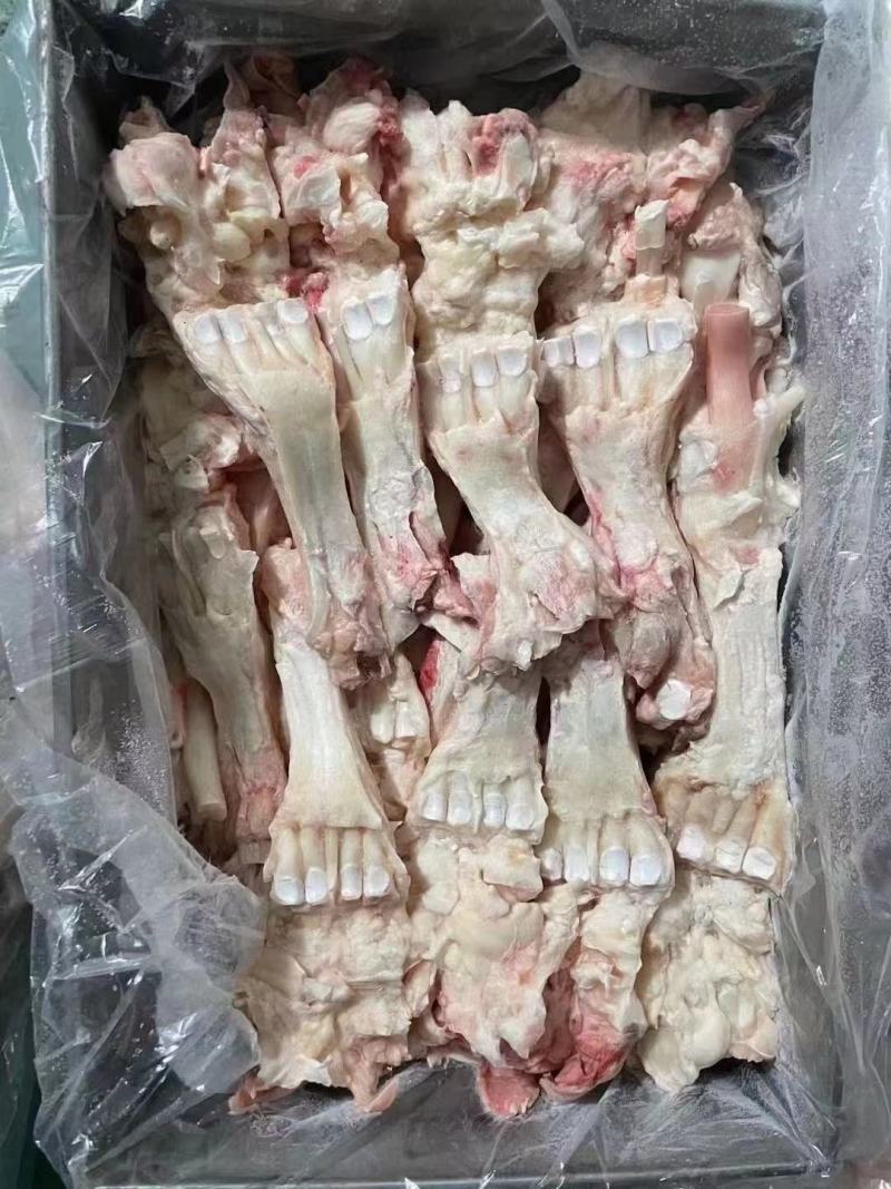 牛蹄主筋，国产纯干货，蹄筋中含有丰富的蛋白聚糖和胶原蛋白