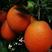 纽荷尔脐橙只卖当季鲜果现摘现发无中间商赚差价1件2O斤