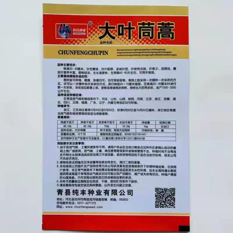 大叶茼蒿种子，茼蒿种子，大叶桐高种子筒篙种子大叶筒篙种子