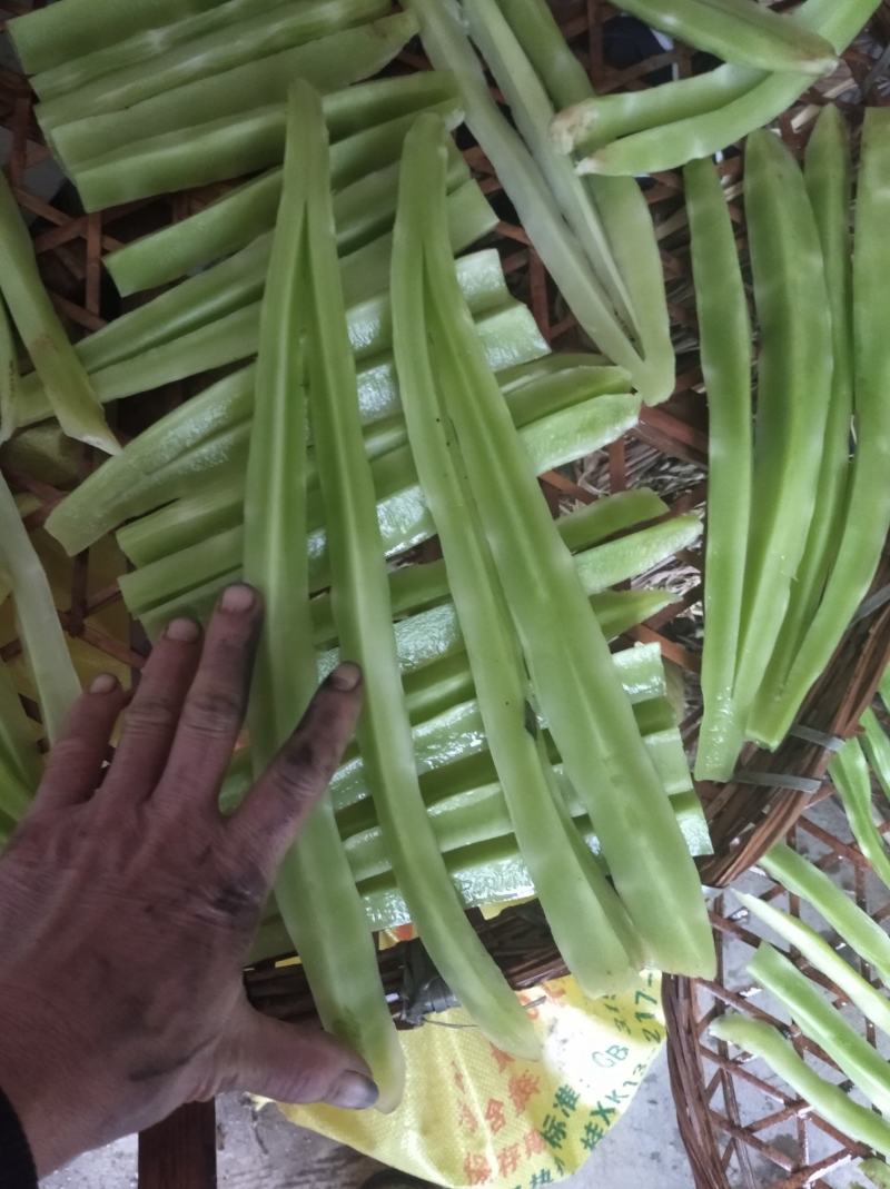 红叶香莴苣莴苣，腊月起有特惠，大量上市，万亩产地