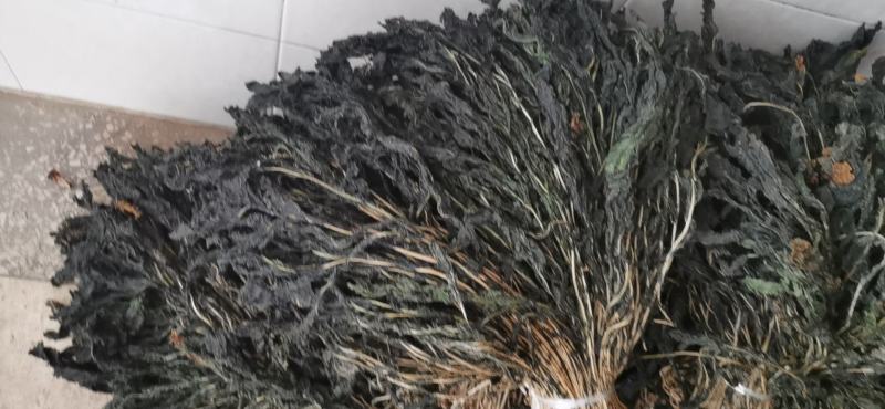 脱水风干萝卜叶子！干萝卜叶子，出口风干萝卜叶子！外婆菜！