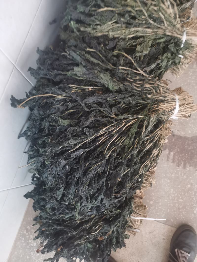 脱水风干萝卜叶子！干萝卜叶子，出口风干萝卜叶子！外婆菜！