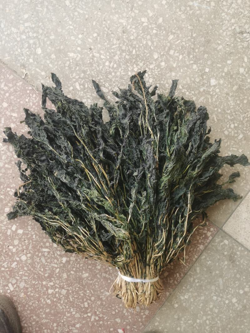 脱水风干萝卜叶子！干萝卜叶子，出口风干萝卜叶子！外婆菜！