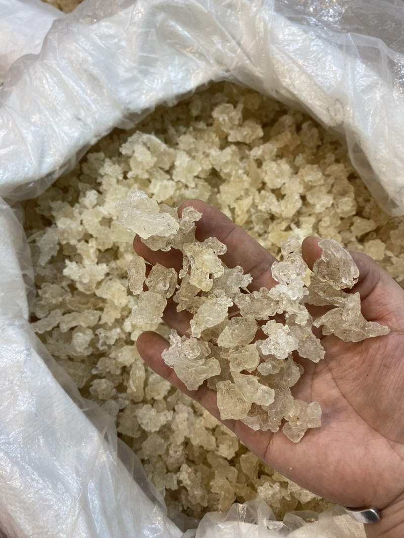 雪燕