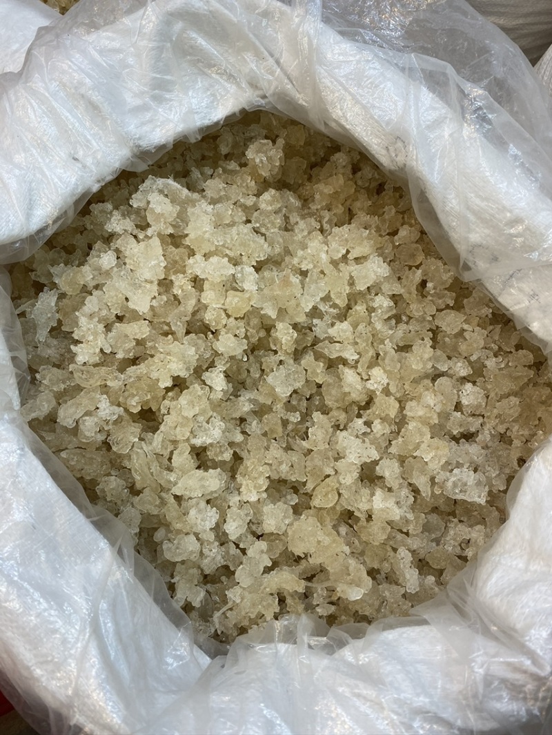 雪燕