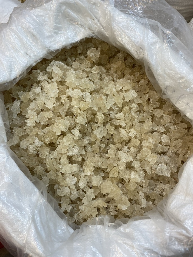 雪燕