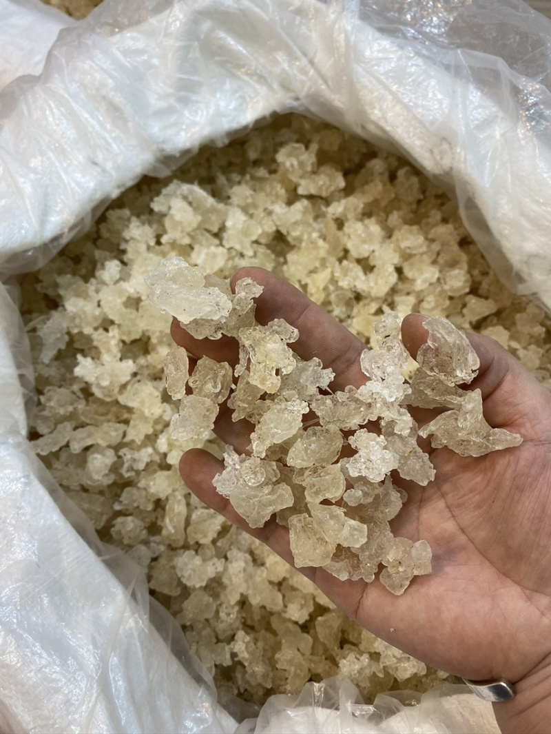 雪燕